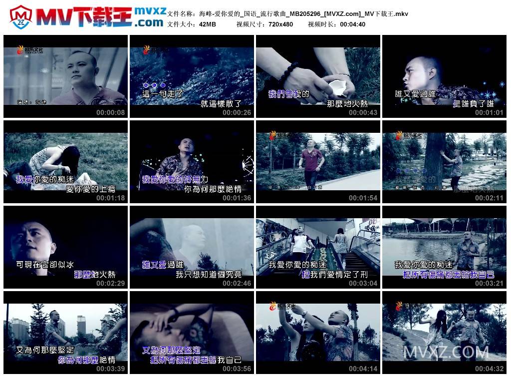 海峰-爱你爱的_国语_流行歌曲_MB205296